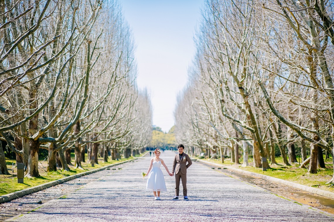 Tomi Photo Studioが撮影した「ロケーション写真」の写真