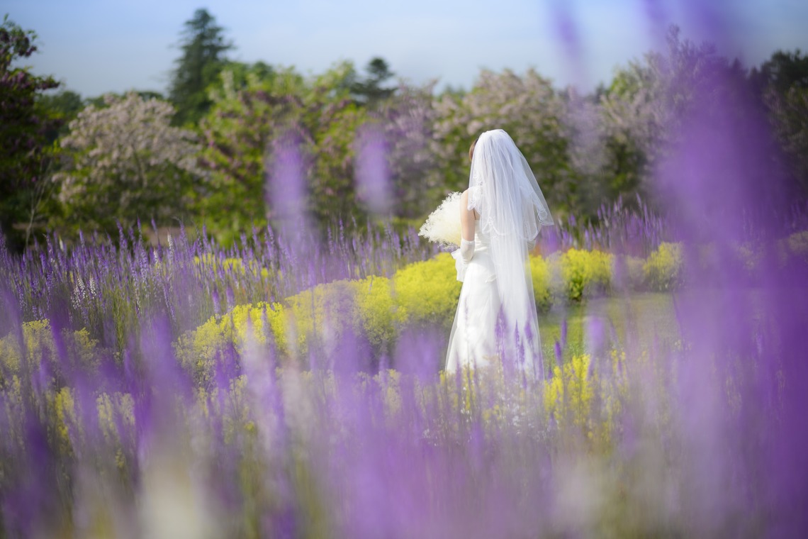 Photo of  taken by C.RELATIONS