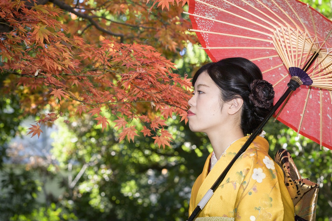 A&Y写真OFFICEが撮影した「公開用画像」の写真