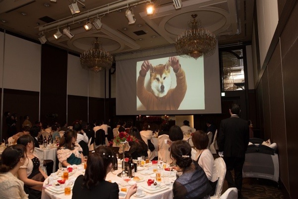 Album of the Wedding, Bridal taken by 踊るカメラマンAKIRA - Wedding Photos