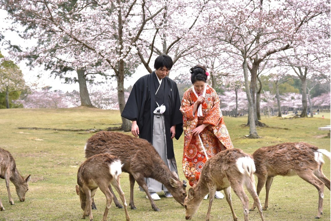 キキフォトワークスが撮影した「桜の季節の和装前撮り」の写真