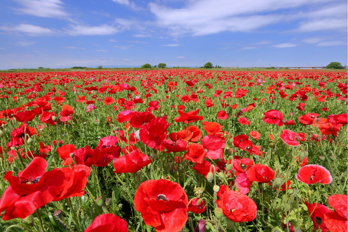溝口崇が撮影した写真のアルバム「風景写真」