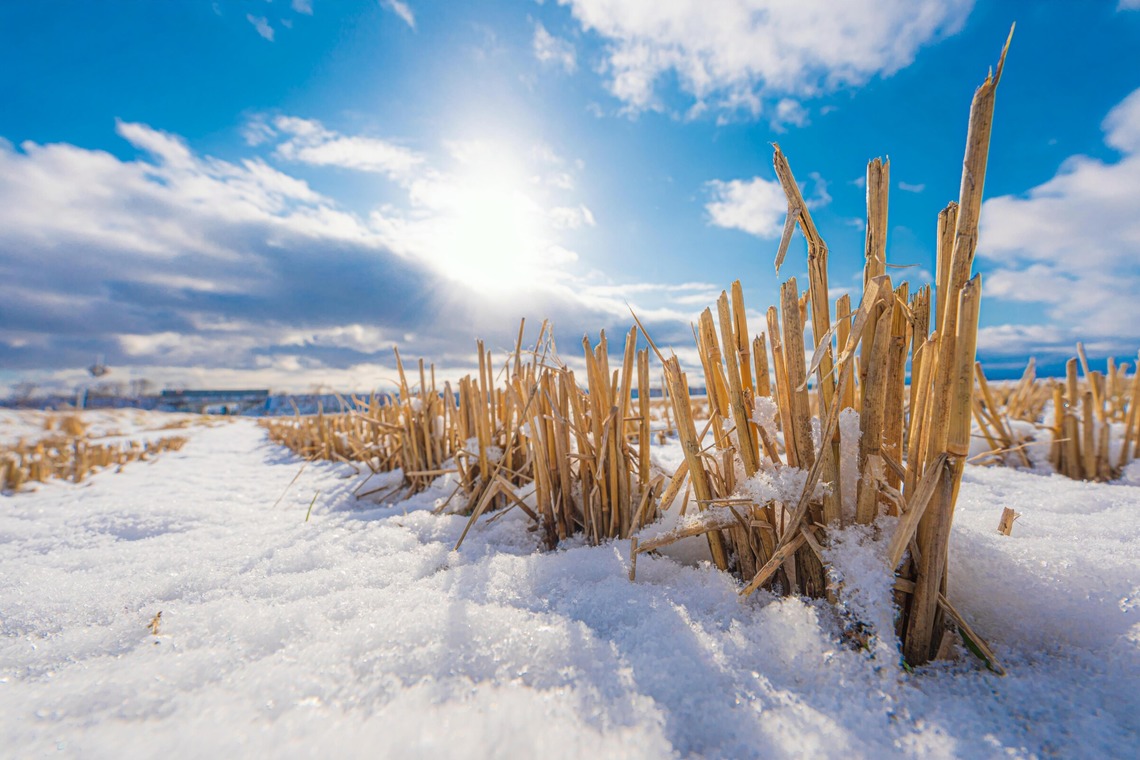 高木勇斗が撮影した「風景」の写真