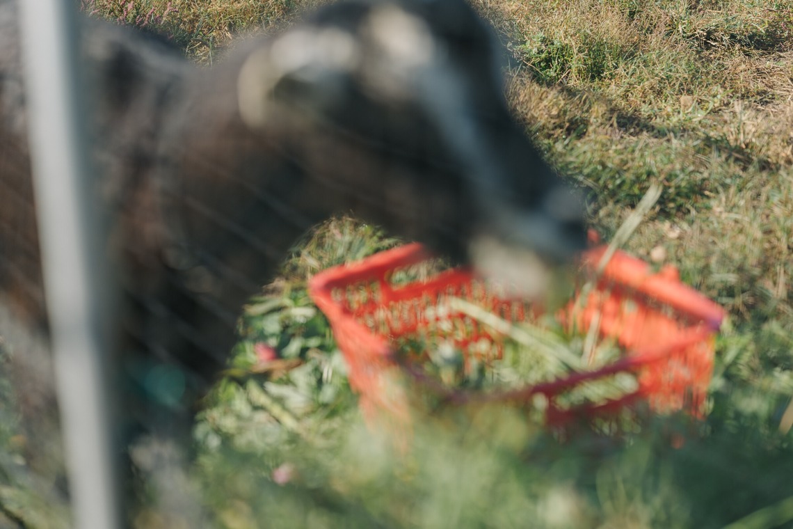muikkuが撮影した写真のアルバム「イベントスナップ」