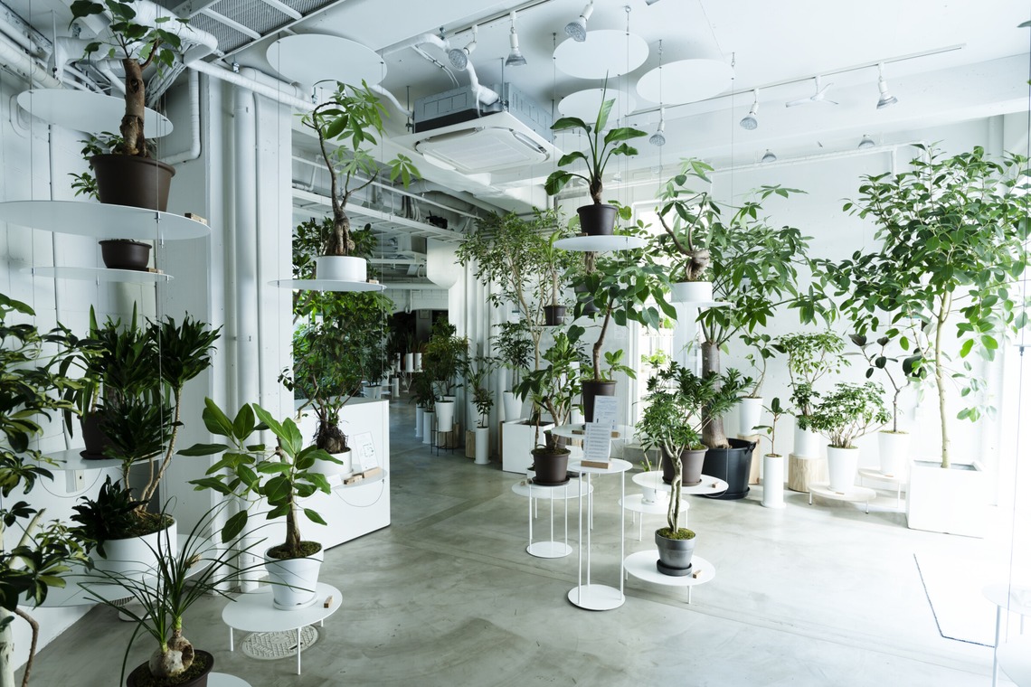 三浦希衣子が撮影した「雑誌お店紹介」の写真