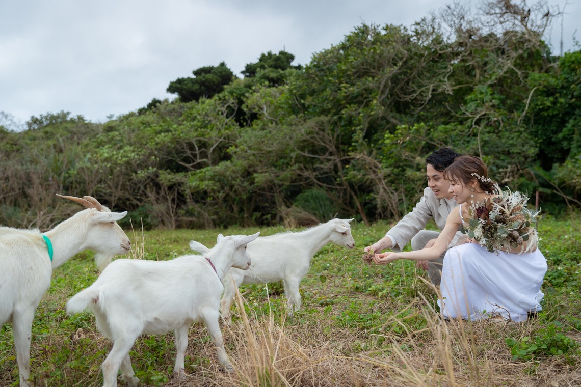 山口写真事務所が撮影した「Photo Wedding」の写真