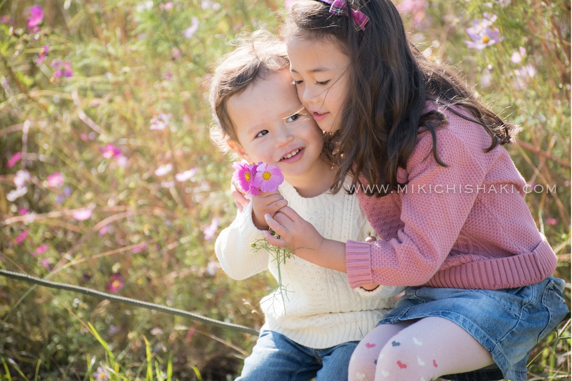 MC-photoが撮影した「2016_Nov_江戸川区」の写真