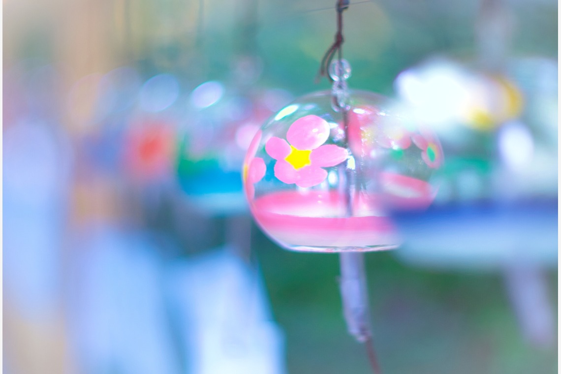 SmileMemoriesPhotoStudioが撮影した写真のアルバム「小物・花撮影」