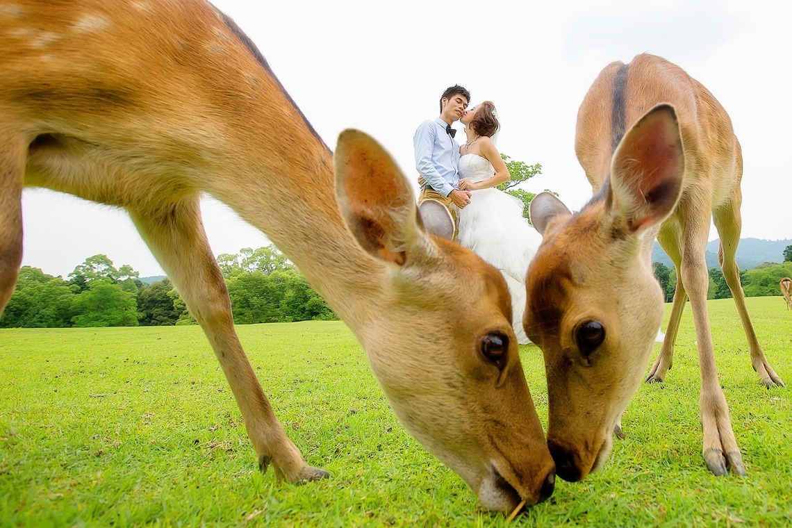 Photo of  taken by 2 of us photography