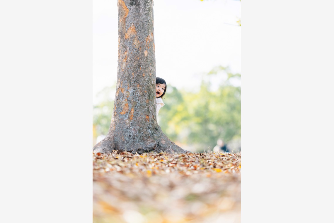 神宮啓佑が撮影した写真のアルバム「出張撮影案件A（撮影場所：公園）」