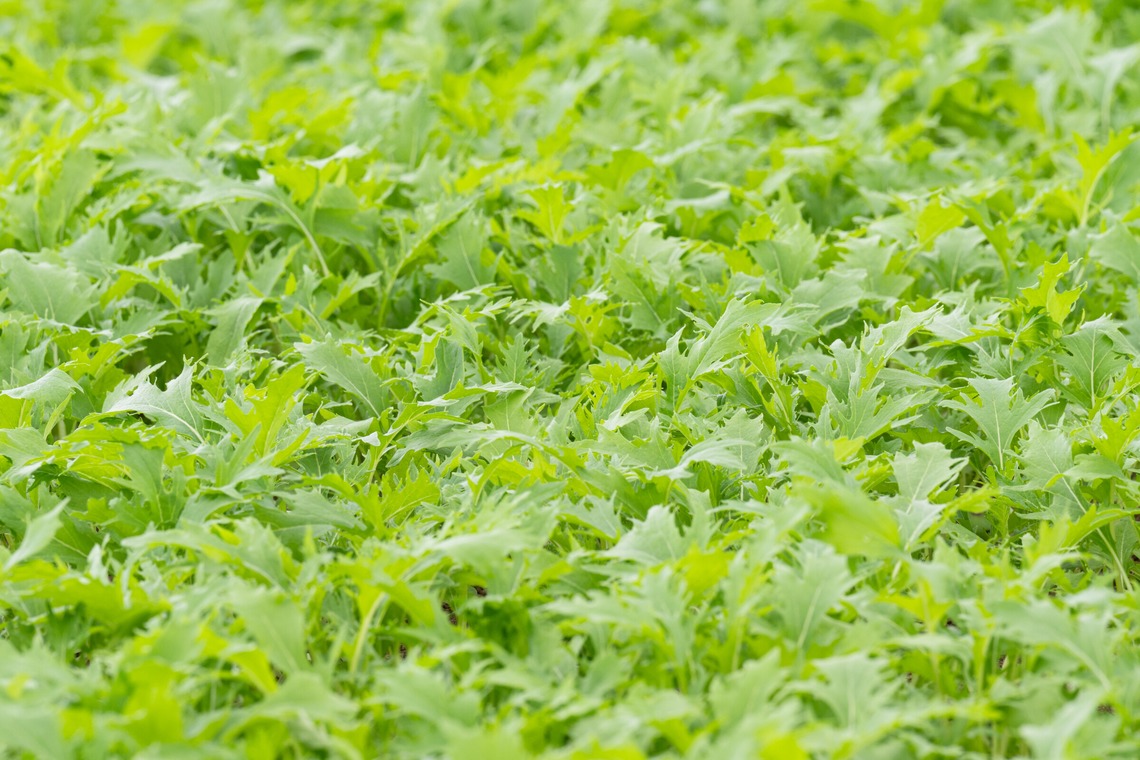 出張撮影TLaboが撮影した「求人用　職場風景の撮影」の写真