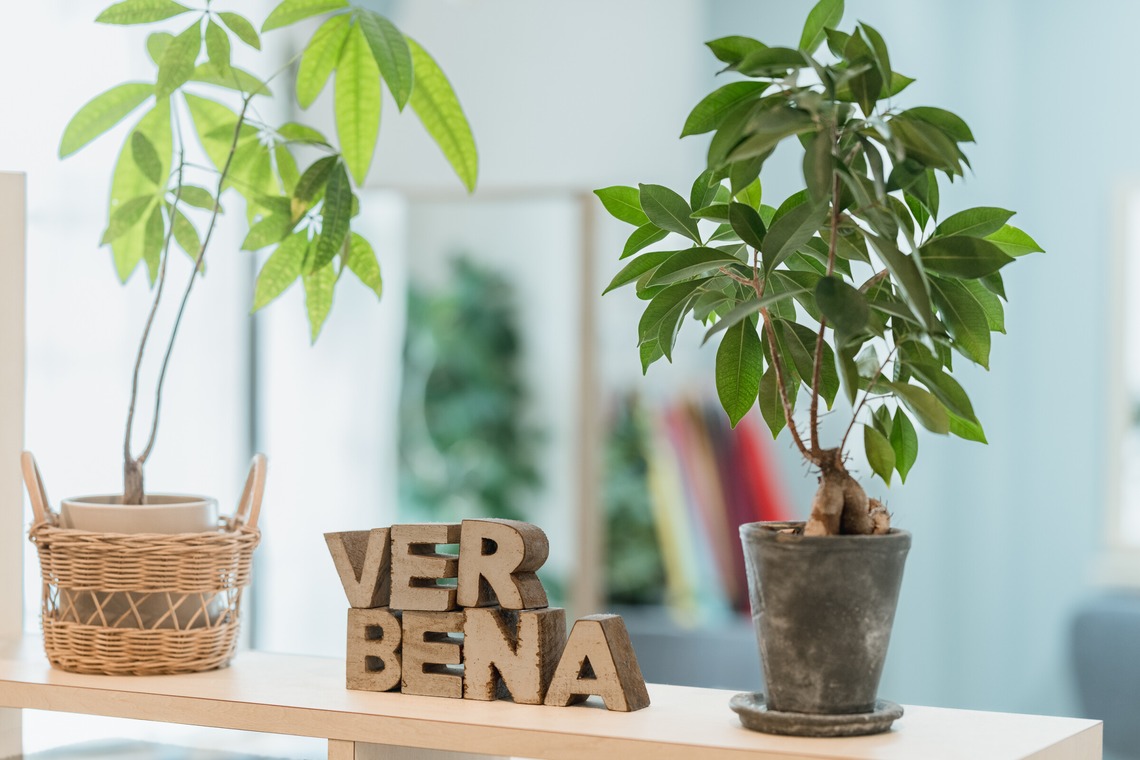 AVSが撮影した写真のアルバム「店舗の内観撮影」