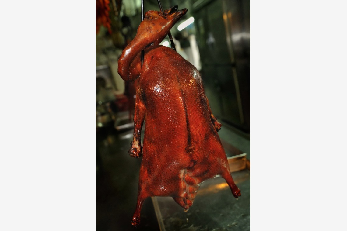 菊地事務所が撮影した写真のアルバム「森羅万象」