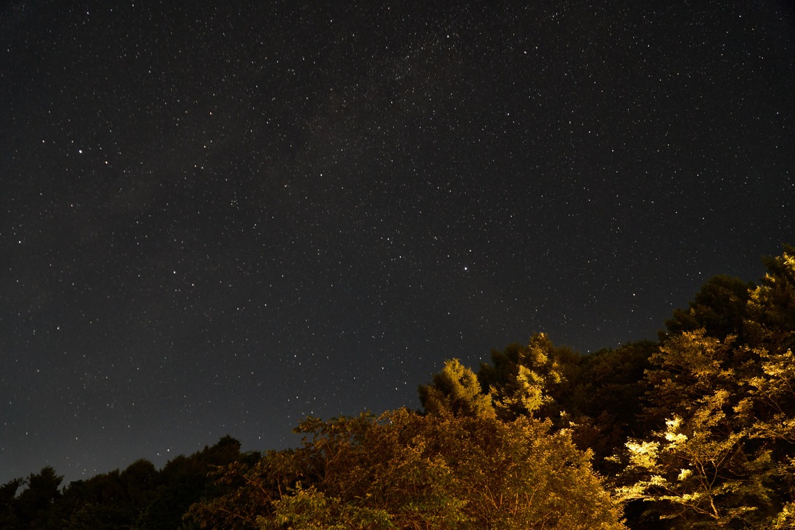 長崎 翔太が撮影した「空間サンプル」の写真