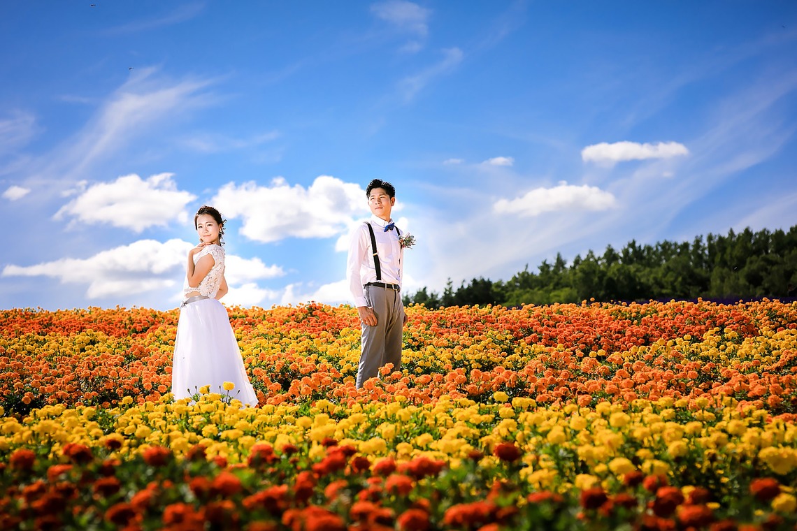 Photo of 2017 August Furano & Biei taken by APK