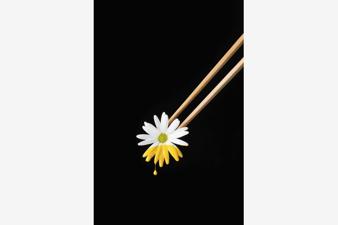 スタジオ11が撮影した写真のアルバム「様々な料理写真」