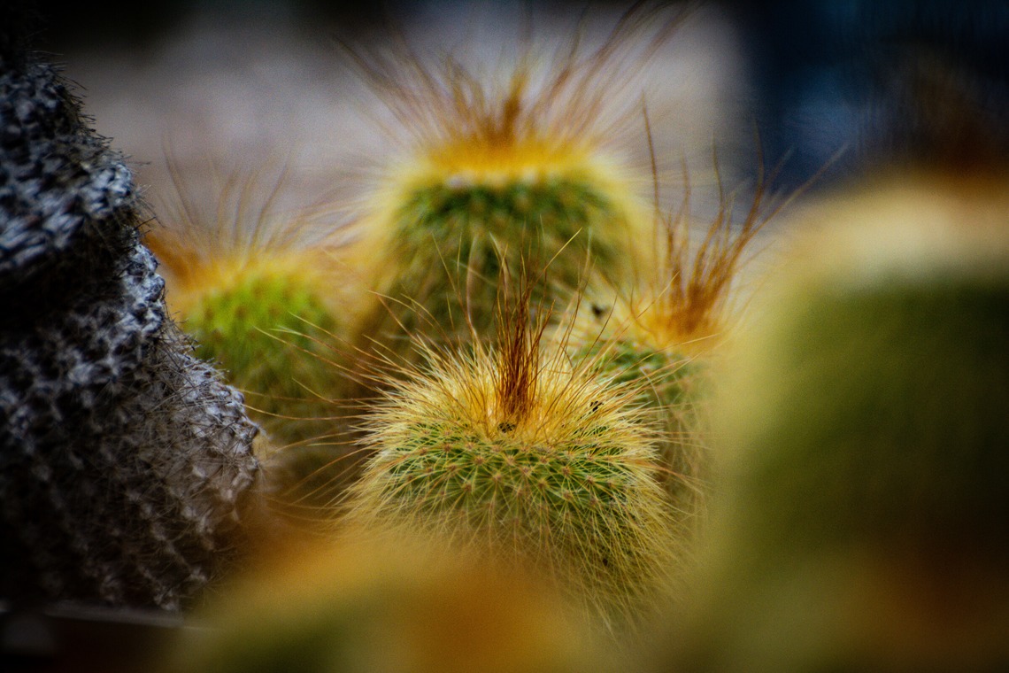 水嶋 将太が撮影した「思い出。」の写真