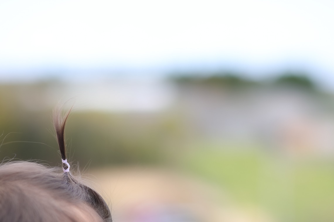 今西健二が撮影した写真のアルバム「１歳バースデー」