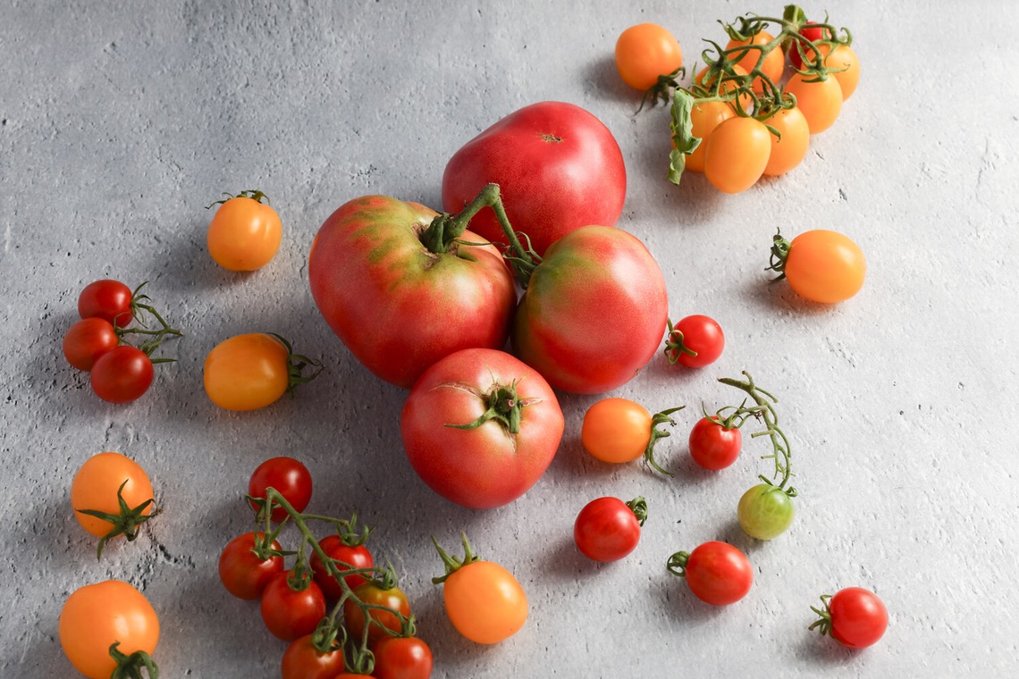 ちずカメラが撮影した「食品メニュー撮影」の写真