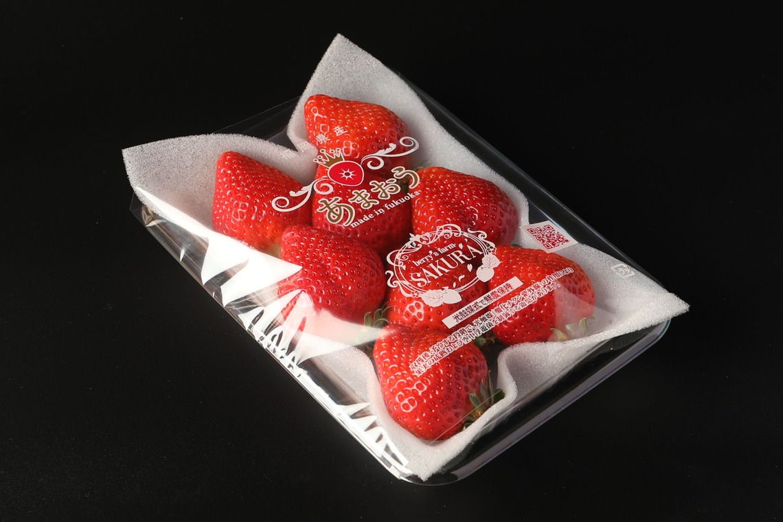 岩坪眞一郎が撮影した「商品または作品」の写真