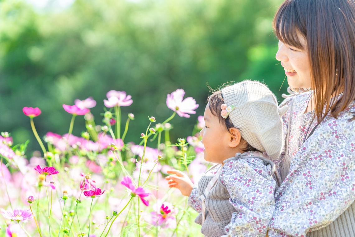 クリエイティブツリーが撮影した写真のアルバム「家族写真」