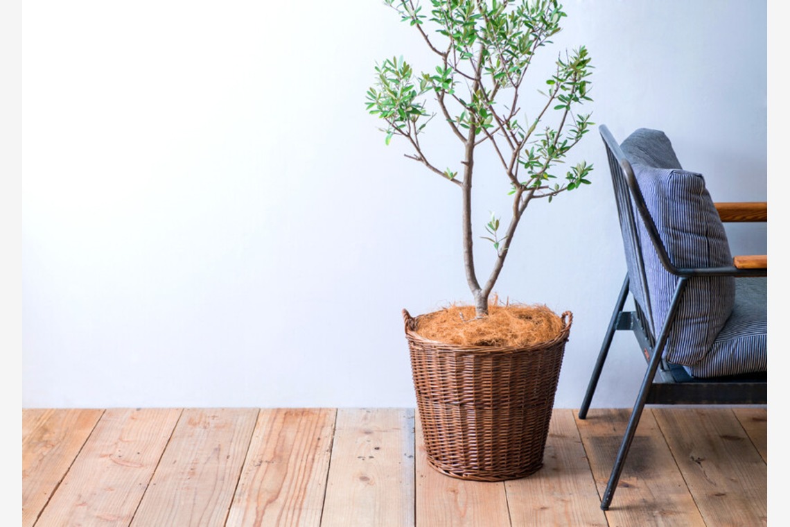 Yoppegraphy Photographic Serviceが撮影した「商品　雑貨」の写真