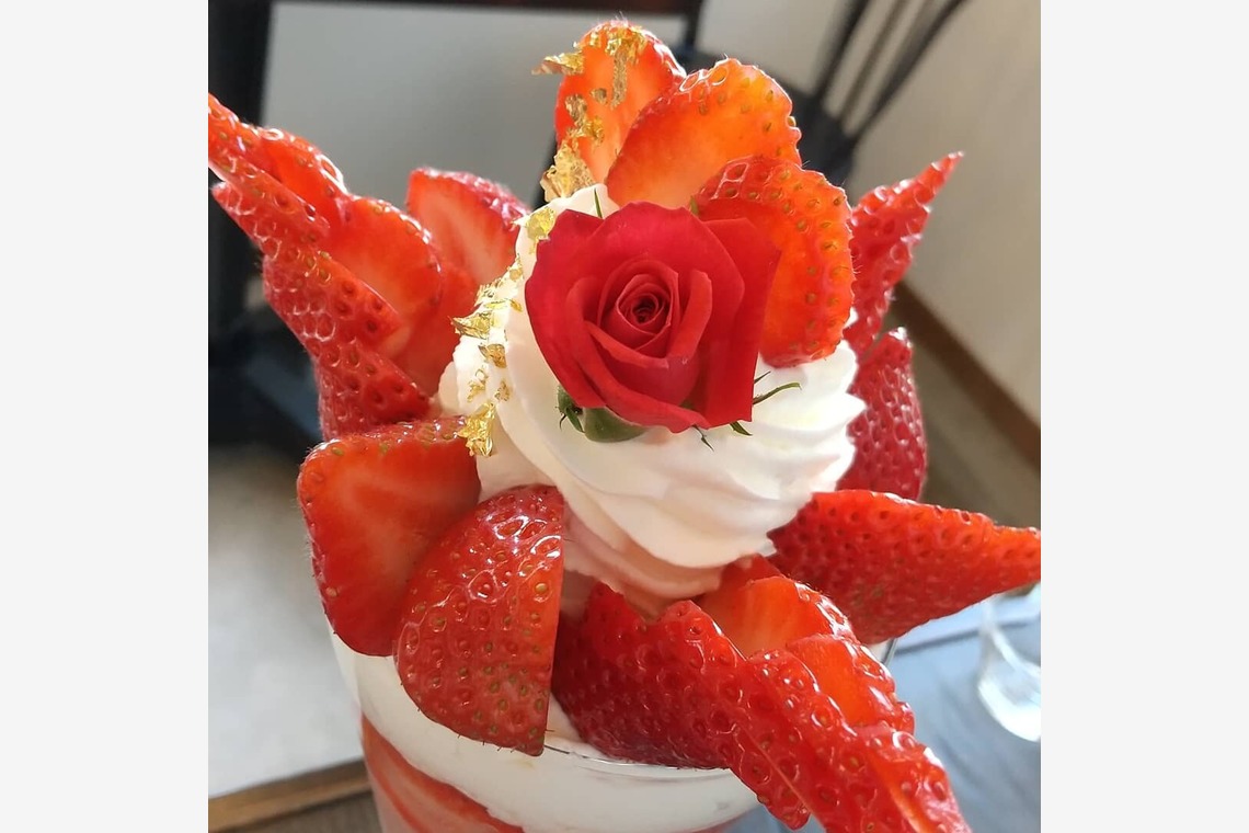 舞が撮影した写真のアルバム「自然」