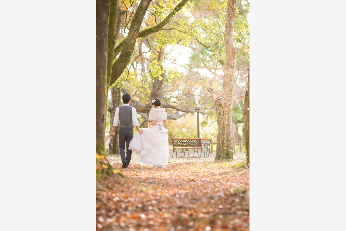 Photo of kyoto autumn taken by SORAIRO