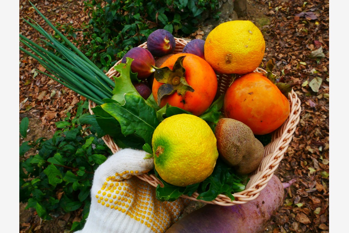 ant10.が撮影した「農家」の写真