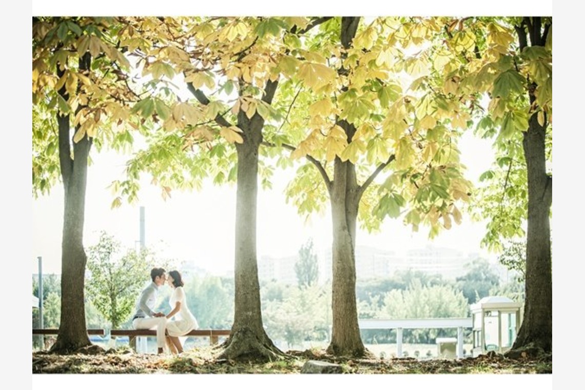 Photo of  taken by Wedding Howl 