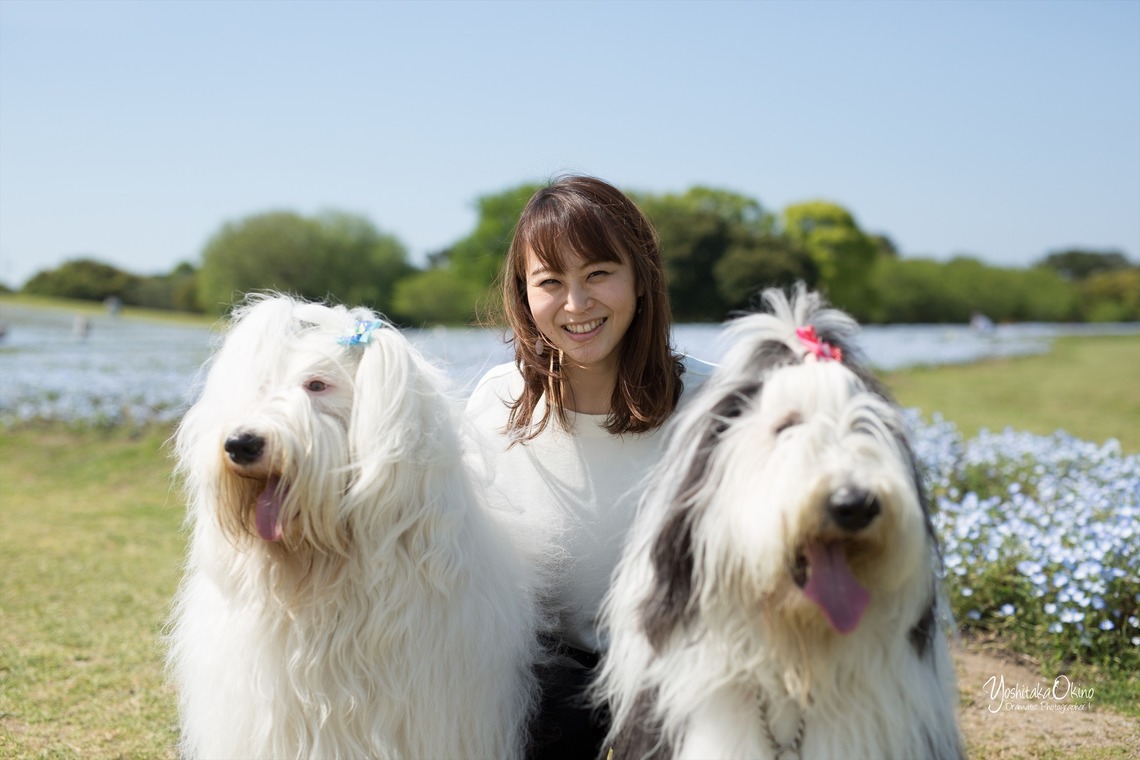 写楽堂が撮影した「ペット」の写真