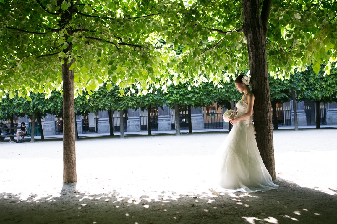 IDEA PHOTO WORKS (井出慎也)が撮影した「フォトギャラリー」の写真