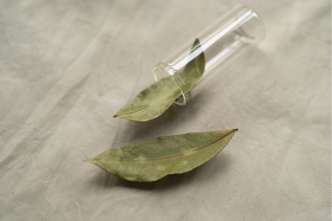 Hamuこども写真館が撮影した写真のアルバム「Hamu写真館」