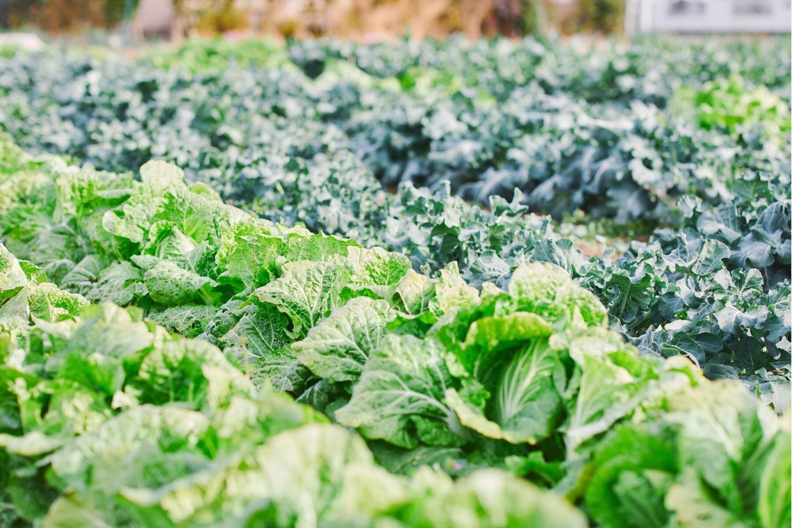 Shun Kanazawaが撮影した「Life Style」の写真