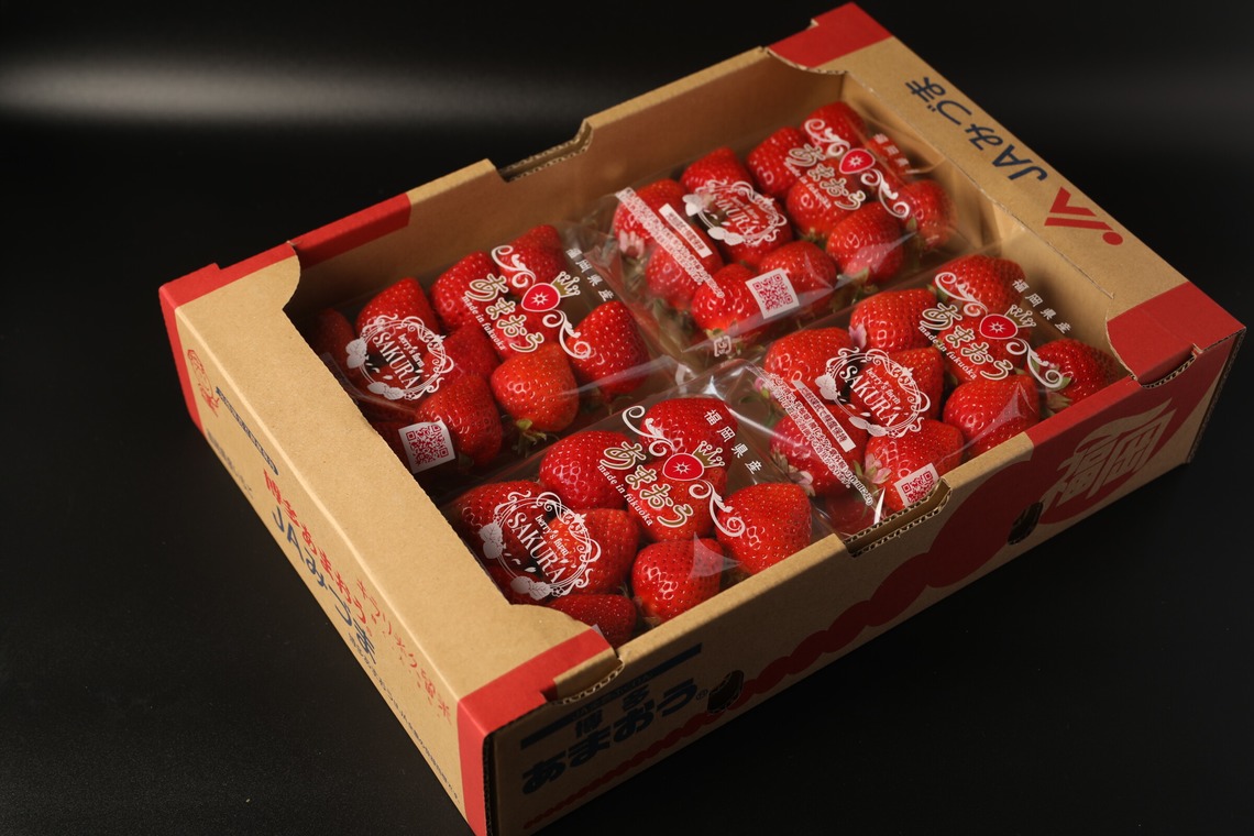 岩坪眞一郎が撮影した「商品または作品」の写真