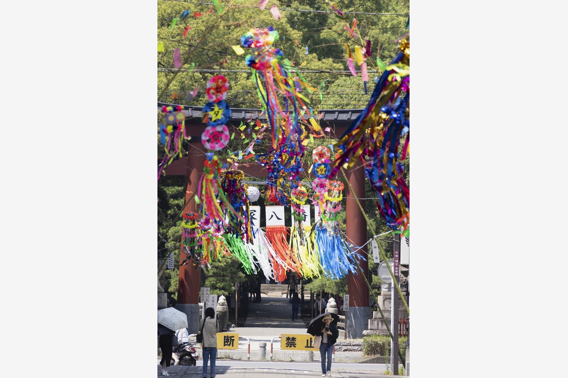 マモさんの写真室が撮影した「イベント撮影」の写真