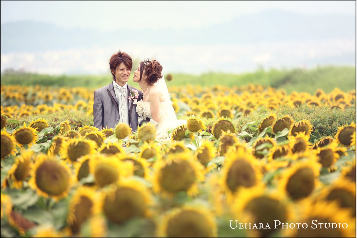 Photo of  taken by Uehara Photo Studio