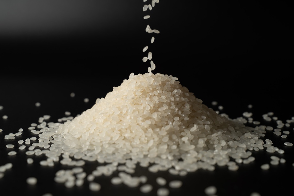 大野颯が撮影した「法人」の写真