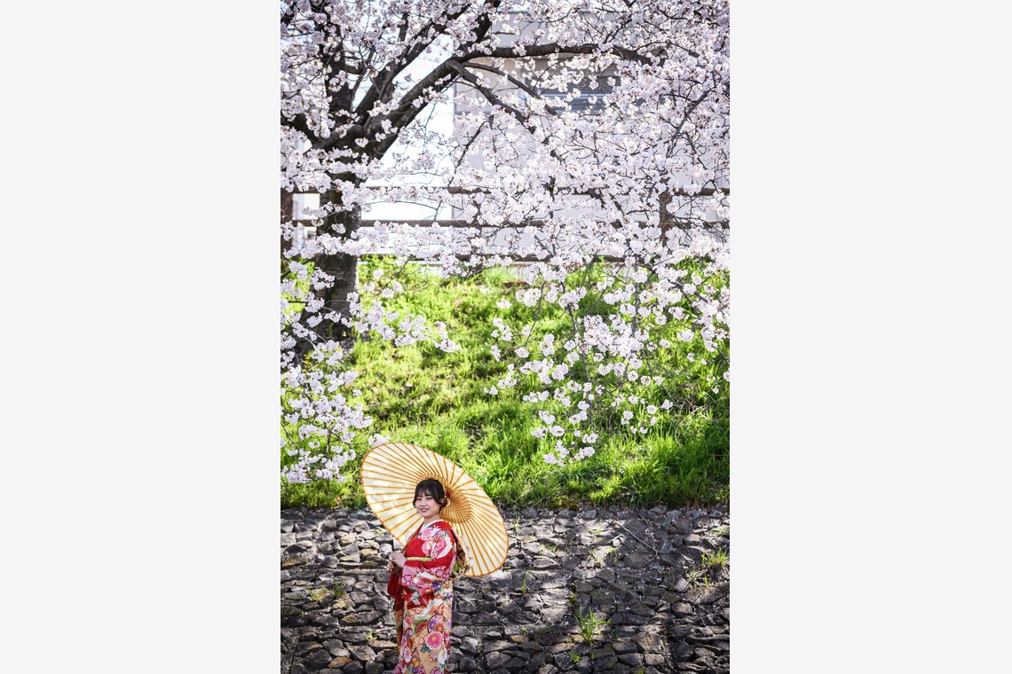 Visual Imagingが撮影した写真のアルバム「振袖桜ロケーション撮影」