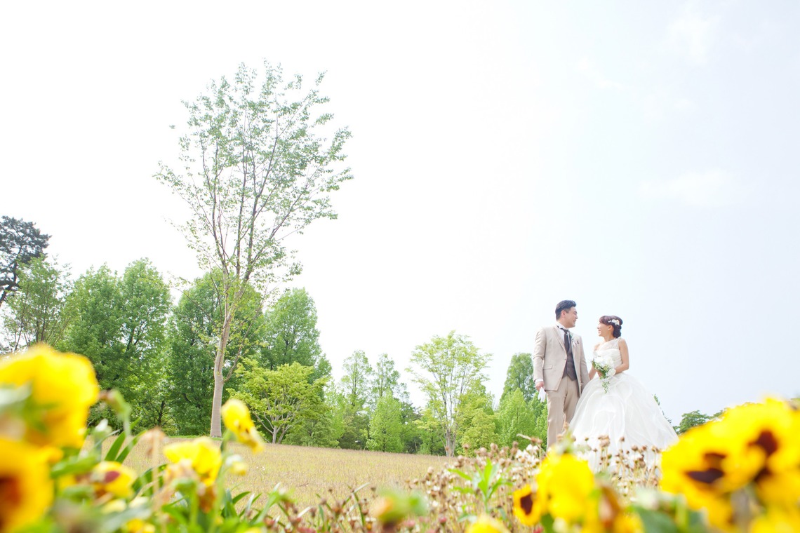 skyward photo film（竹本飛鳥）が撮影した写真のアルバム「前撮りドレス」