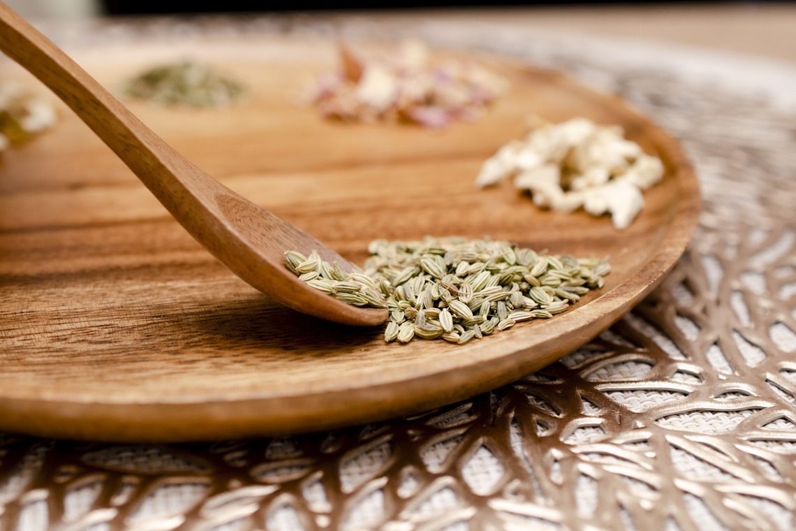 Photographer YUUKIが撮影した写真のアルバム「Yomogimushi Salon.」