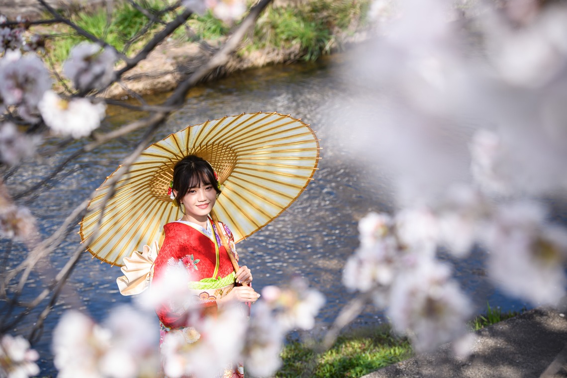Visual Imagingが撮影した写真のアルバム「振袖桜ロケーション撮影」