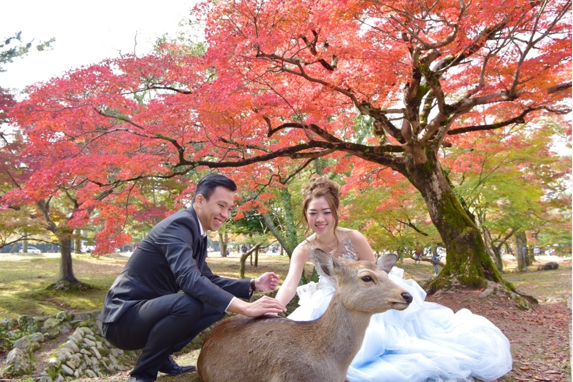 Photo of Pre Weddingphotoshoot in Nara Park from Indonesia taken by Kiki photo works