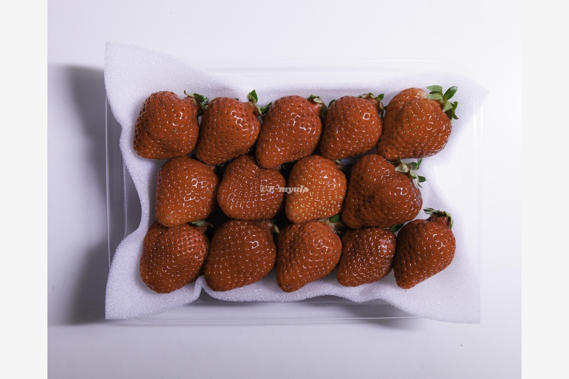 T-myulaが撮影した「フード撮影例」の写真