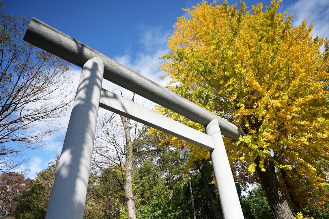 せおまさよが撮影したその他/家族写真の出張撮影/七五三フォトのアルバム「出張撮影　七五三」