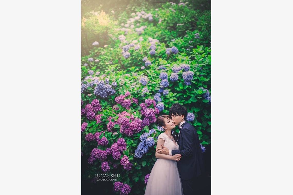 Lucas Shu Photographyが撮影した写真のアルバム「Lucas Shu 作品集」