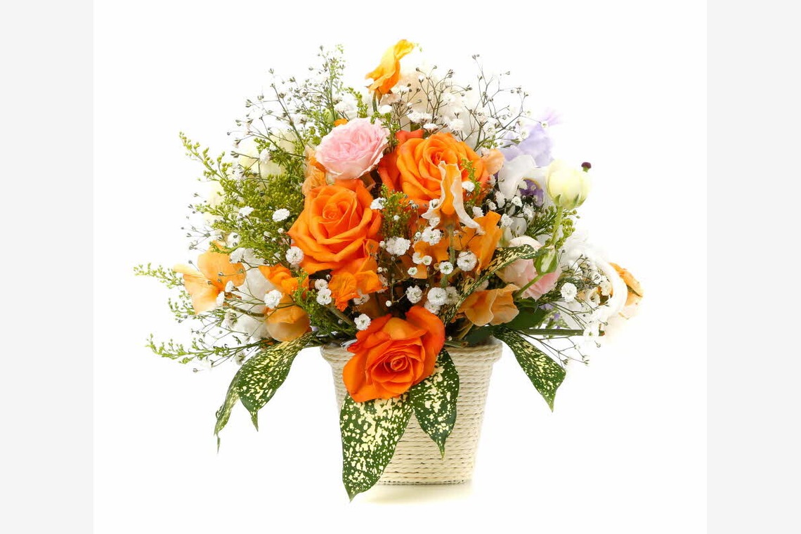 赤木写真事務所（代表　赤木武博）が撮影した「オブジェクトVR (360°フォト）建築　竣工　料理　ビジネスシーン」の写真