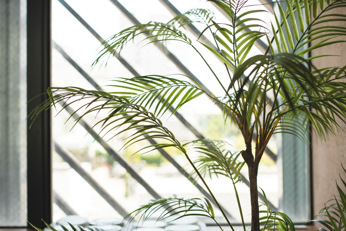 uno e creative act.が撮影した「レストランウェディングの広告撮影」の写真