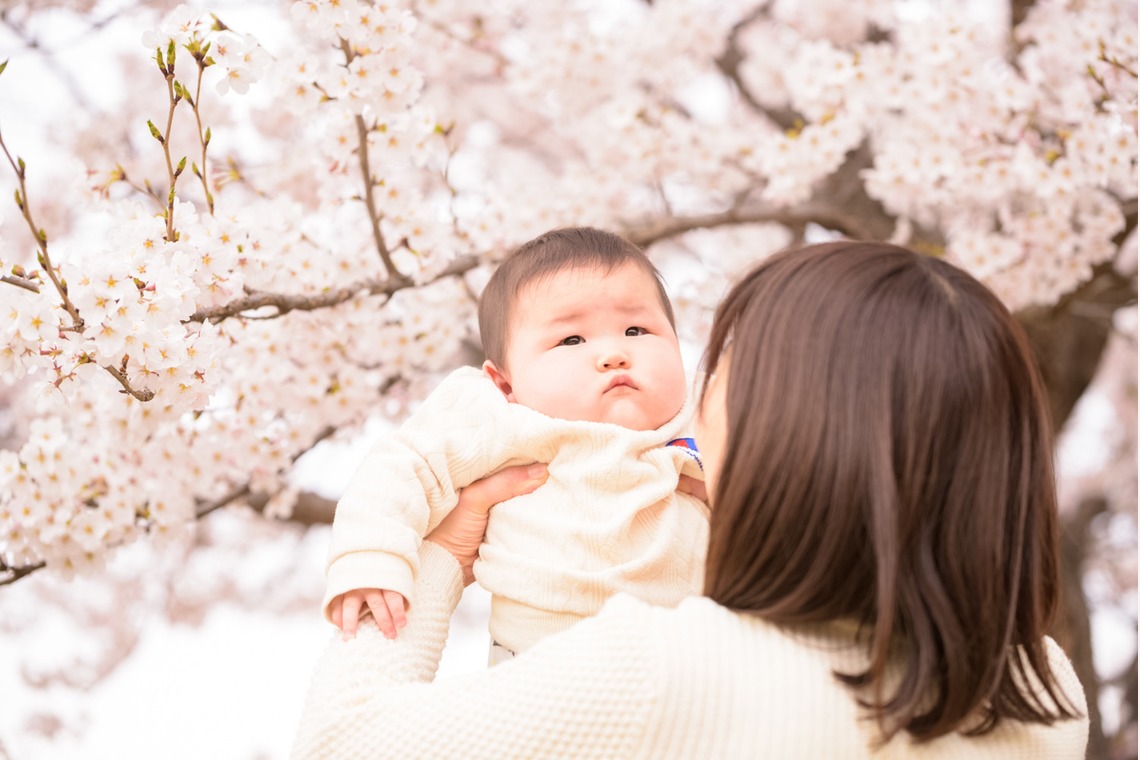 Lightgraphyが撮影した写真のアルバム「桜の下の親子フォト」