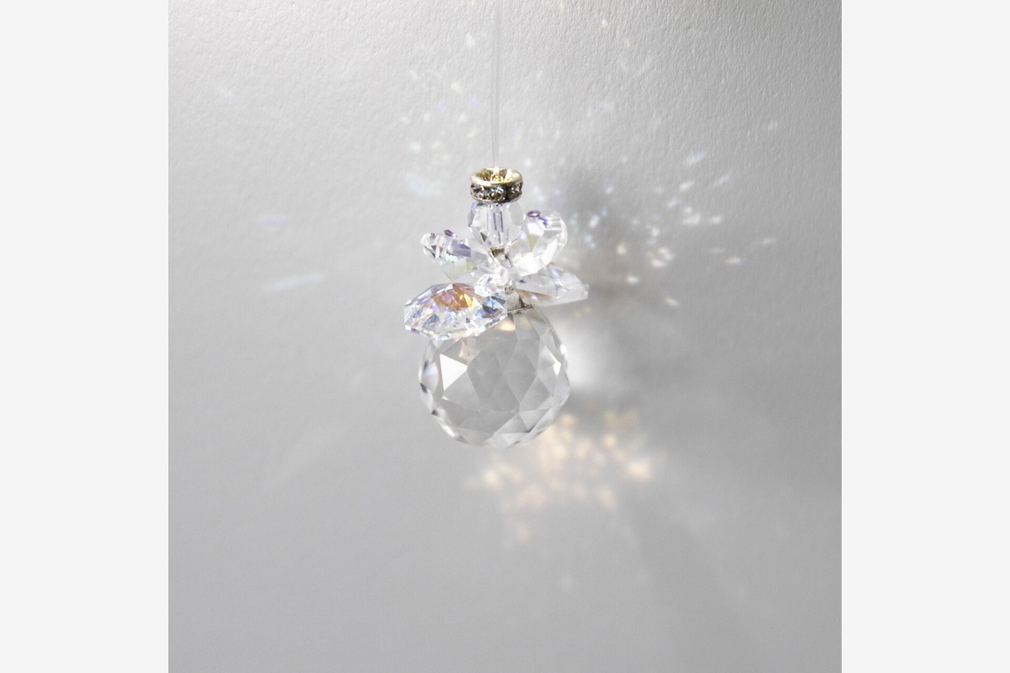 Hamuこども写真館が撮影した「Hamu写真館」の写真